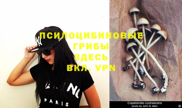 ПСИЛОЦИБИНОВЫЕ ГРИБЫ Володарск