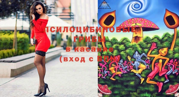 крисы Беломорск