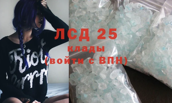 твердый Богданович