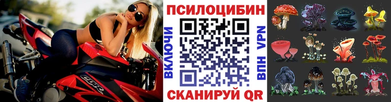 Галлюциногенные грибы мухоморы  наркошоп  Богородицк 